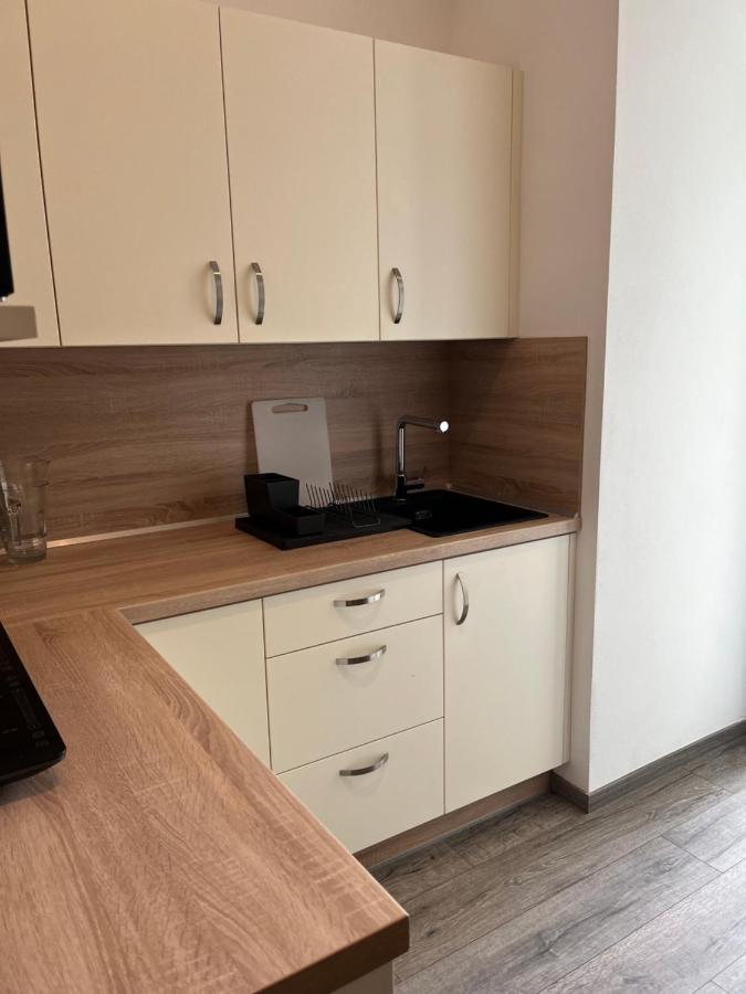 Moderni Apartman Uprostred Sumavske Prirody Zdikovec Exterior foto